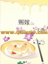赐嫁小说