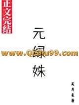 《元绿姝》全本TXT下载-作者：笑月亮