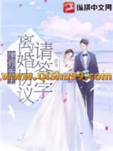 《律师先生，离婚协议请签字》全本TXT下载-作者：蓝念一