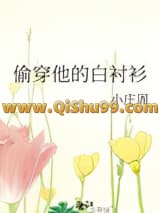 《偷穿他的白衬衫》全本TXT下载-作者：小庄周