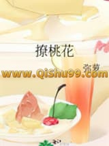 《撩桃花》全本TXT下载-作者：弥萝