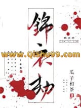 《锦衣劫》全本TXT下载-作者：瓜子和茶