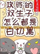 《攻略的双生子怎么都是白切黑》全本TXT下载-作者：炤炤
