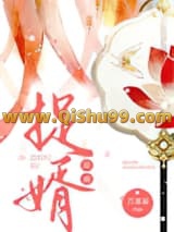 《捉婿》全本TXT下载-作者：苏幕幕