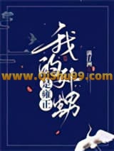 《（历史同人）我的外甥是雍正》全本TXT下载-作者：满汀洲