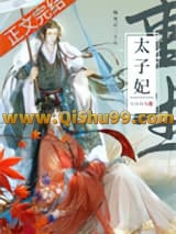 《死了二十年的太子妃回来了》全本TXT下载-作者：江边水色