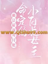 《霸总雇我对付他命定的小白花女主》全本TXT下载-作者：启夫微安