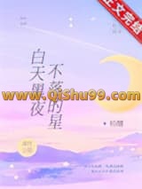 《白天黑夜不落的星》全本TXT下载-作者：初醺