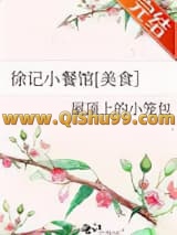 《徐记小餐馆[美食］》全本TXT下载-作者：屋顶上的小笼包