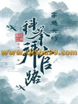 《穿越女的科举拜官路》全本TXT下载-作者：西沉之月
