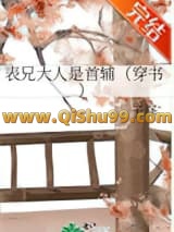《表兄大人是首辅（穿书）》全本TXT下载-作者：子泽