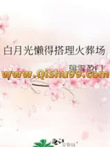 《白月光懒得搭理火葬场》全本TXT下载-作者：瑞雪盈门