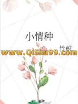 《小情种》全本TXT下载-作者：竹枳