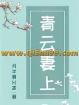 《青云妻上》全本TXT下载-作者：月半要分家