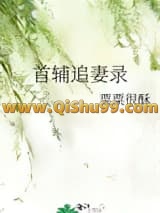 《首辅追妻录》全本TXT下载-作者：粟粟很酥