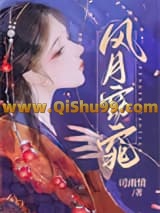 《风月窈窕》全本TXT下载-作者：司雨情