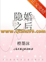 《隐婚之后》全本TXT下载-作者：橙墨沫