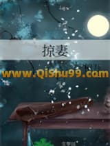 《掠妻》全本TXT下载-作者：相吾