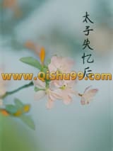 《丞相夫人失忆后》全本TXT下载-作者：慕如初