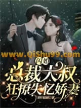 《闪婚，总裁大叔狂撩失忆娇妻》全本TXT下载-作者：青柠姑娘