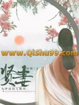 《贤妻》全本TXT下载-作者：佯醉