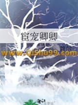 《宦宠卿卿》全本TXT下载-作者：蔻尔
