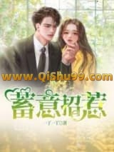 《蓄意招惹》全本TXT下载-作者：一丁一丫