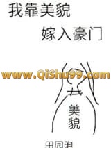 《我靠美貌嫁入豪门》全本TXT下载-作者：田园泡