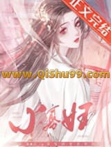 《小寡妇》全本TXT下载-作者：屋里的星星