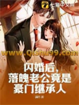 《闪婚后，落魄老公竟是豪门继承人》全本TXT下载-作者：满竹