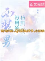 《捡到一个没用的西装男》全本TXT下载-作者：道玄