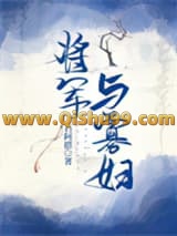 《将军与寡妇》全本TXT下载-作者：石阿措
