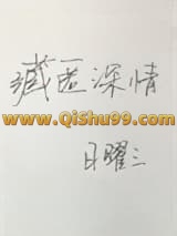 《藏匿深情》全本TXT下载-作者：日曜三