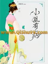 《小姐有病》全本TXT下载-作者：再枯荣