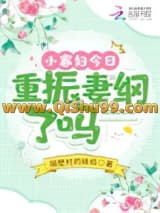 《小寡妇今日重振妻纲了吗》全本TXT下载-作者：隔壁村的妹纸