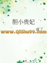 《胆小贵妃》全本TXT下载-作者：戒了