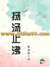 《扬汤止沸》全本TXT下载-作者：眼镜腿儿