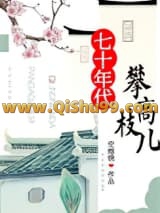 《七十年代攀高枝儿》全本TXT下载-作者：空煜锦