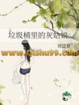 《垃圾桶里的灰姑娘》全本TXT下载-作者：河边草