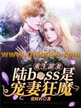 《重生甜妻：陆boss是宠妻狂魔》全本TXT下载-作者：莫时衿