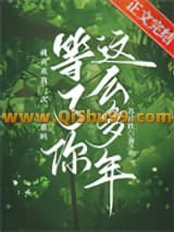 《等了你这么多年》全本TXT下载-作者：苏时玖