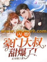 《闪婚豪门大叔，甜爆了！》全本TXT下载-作者：正月枝