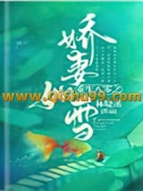 《重生八零之娇妻如雪》全本TXT下载-作者：林晓溪