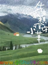 《先生，我想给你小草》全本TXT下载-作者：东哑巴