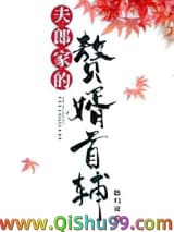 《夫郎家的赘婿首辅》全本TXT下载-作者：路归途