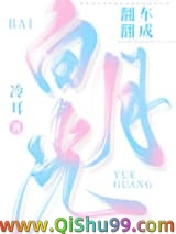 《翻车翻成白月光》全本TXT下载-作者：冷耳