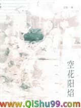 《空花阳焰》全本TXT下载-作者：空菊