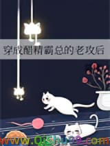 《穿成醋精霸总的老攻后》全本TXT下载-作者：雾琲