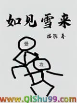 《如见雪来》全本TXT下载-作者：杨溯