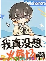 《我真没想火葬场啊[快穿]》全本TXT下载-作者：Alohomora